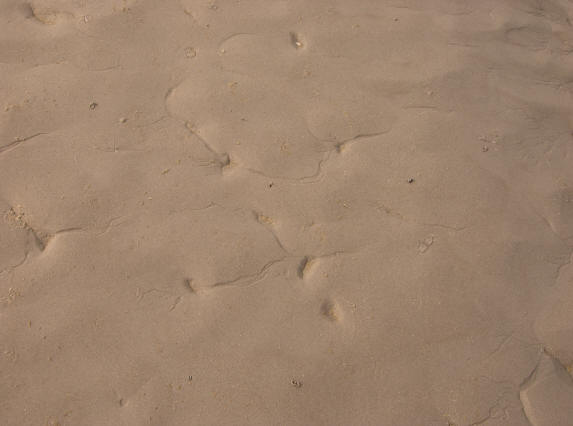 kreukjes in het zand...
