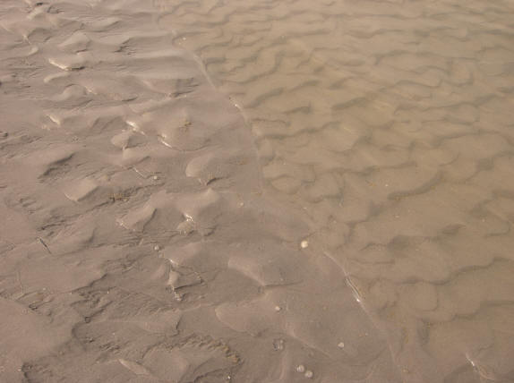 de rand van het water...