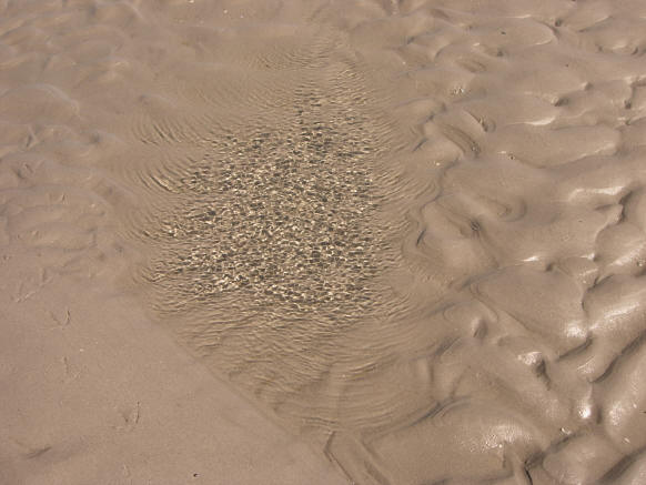 kriebelwater