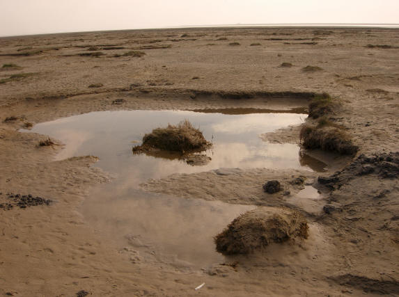 plassen op het strand...