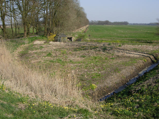 eind maart 2007 - een gele vleug