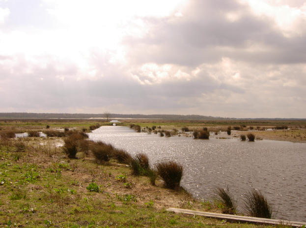 11 april 2007
