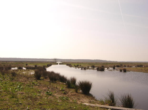 12 april 2007