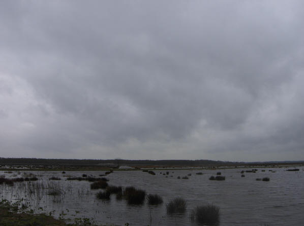 maar ook een grijze lucht kan mooi zijn...