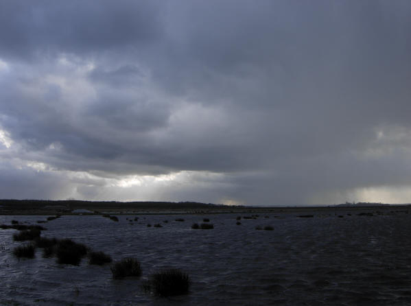 een levende horizon...