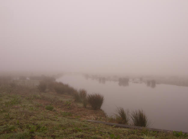 aprilmist...