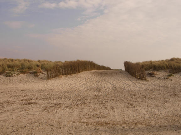ze zijn ook allemaal net even anders...