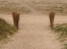 soms is het ook wat kaal...