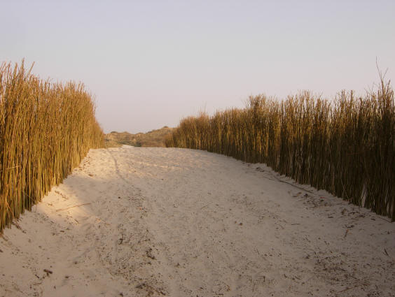 van het strand naar de duinen...