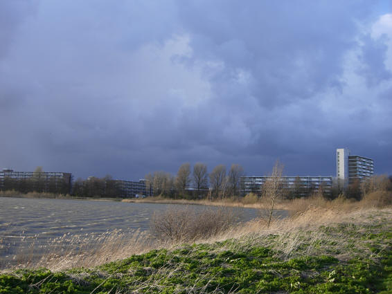 de rand van de plas...
