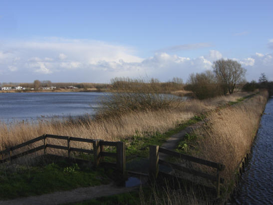wandelpad