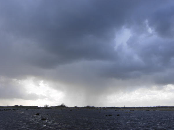 regenbui in de verte...