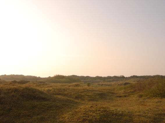 duinen, tegen de schemering...