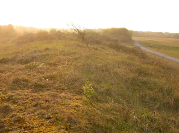 fietspad door de duinen...