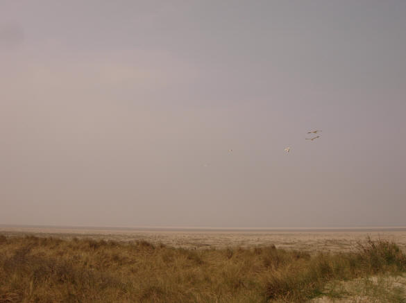 de zee in de verte...