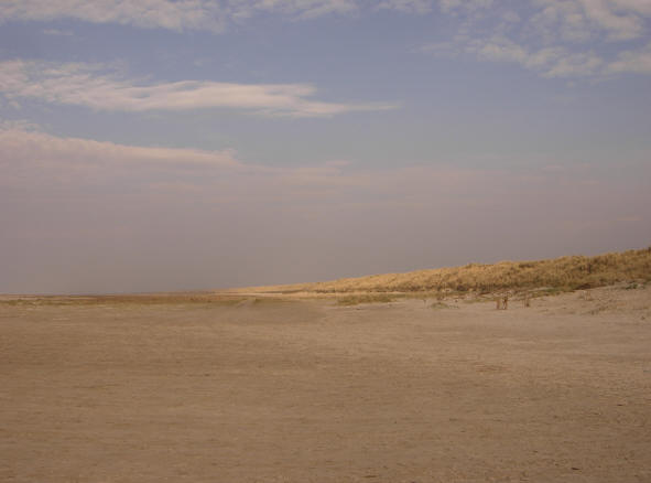 strand en duinen...