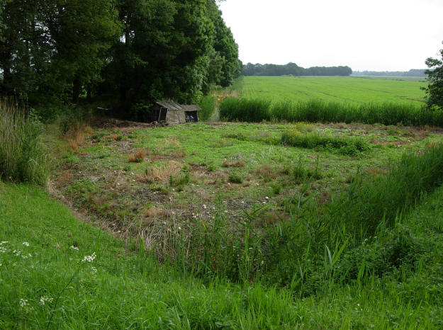 5 juni 2007