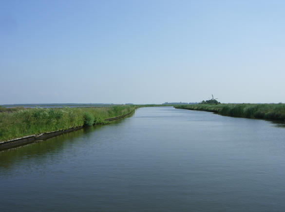 in de verte de biks...