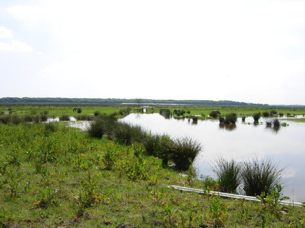 24 mei - met paarden...