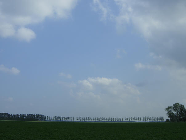 groninger horizon...