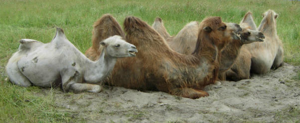 familieportret...