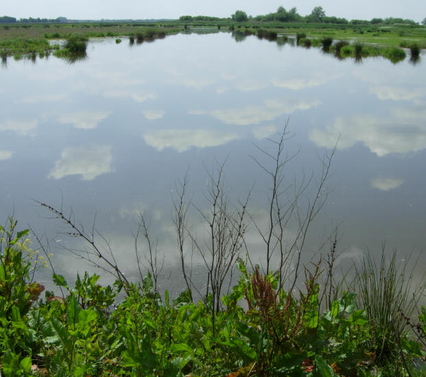 de polder...