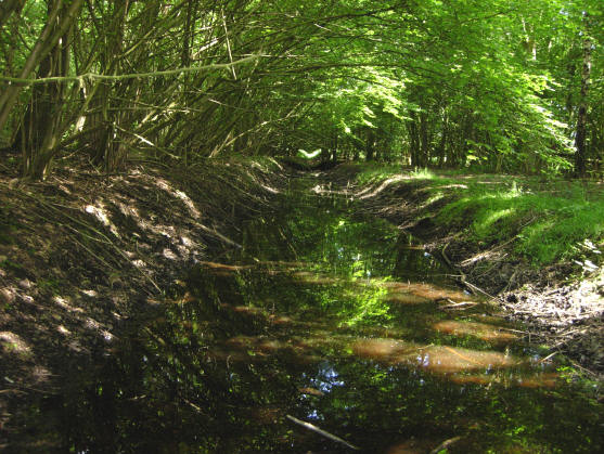 24 mei smiddags