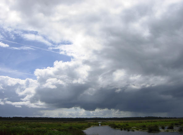 zomerlucht