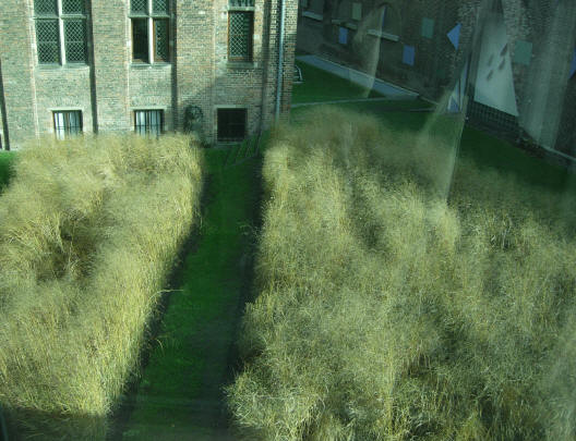 mueseumtuin vanuit de lift...