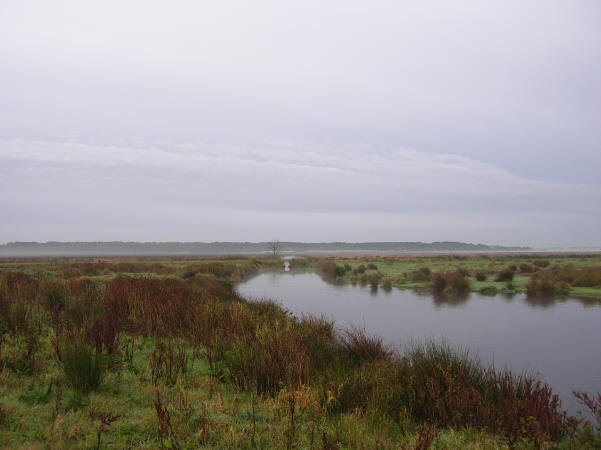 1 oktober 2007 - een beetje ochtendmist intensiveert de kleuren...