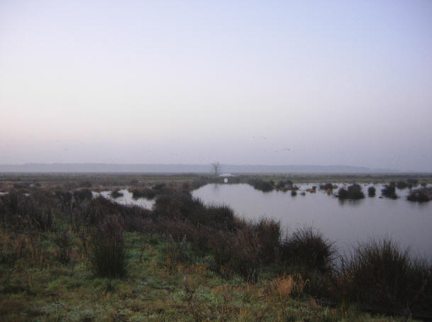 mist eind november..