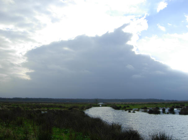 5 november 2007