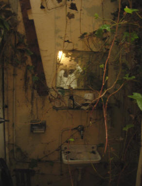 oerwoudtoilet...
