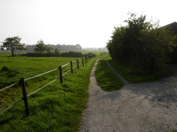 weg gaat over in karrespoor...