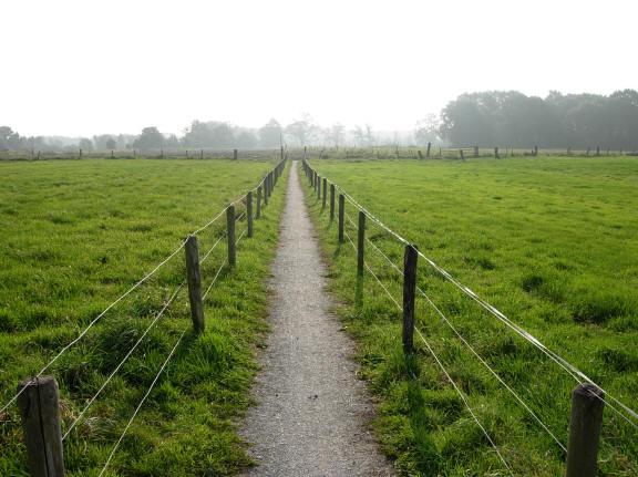 wandelpad door de weilanden...