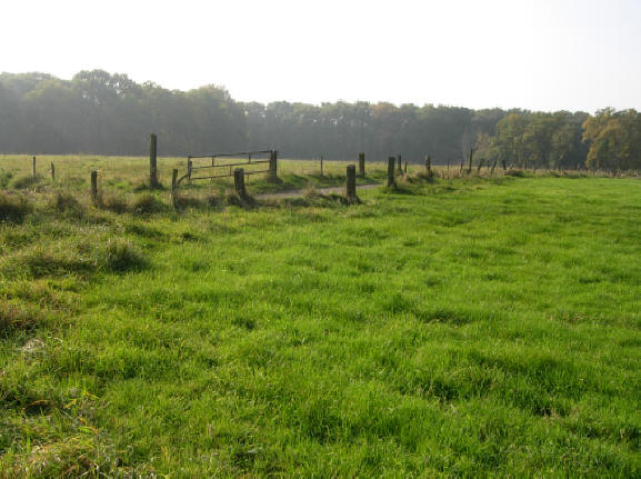 pad richting appelbergen...