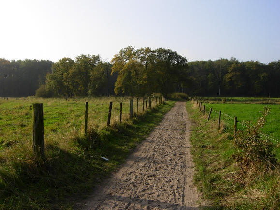 en wederom een zandpad...