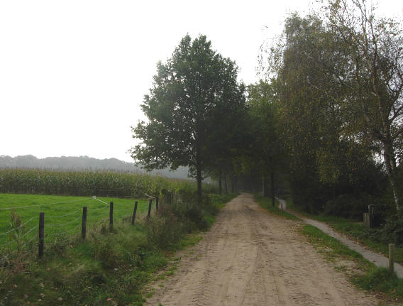 het zandpad na sassenhein...