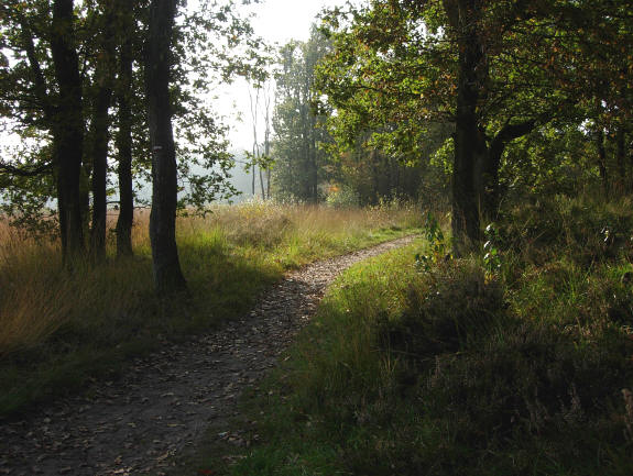een van de velke verrassende doorkijkjes tijdens deze wandeling...