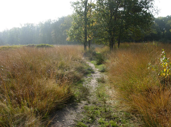 nou? mooie wandeling of niet?...