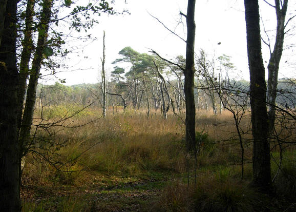 luguber plekje schuldig landschap...