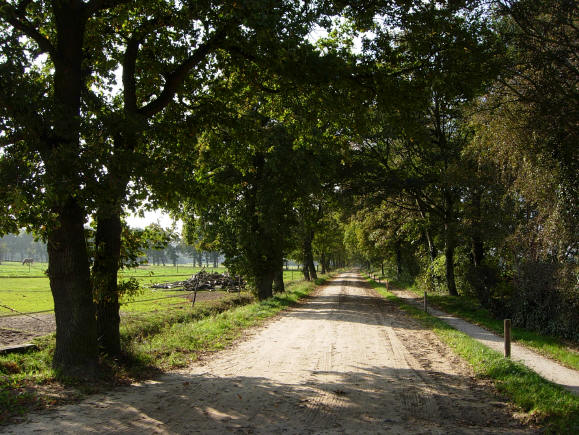 verder over een breed zandpad, geflankeerd door een fietspad...