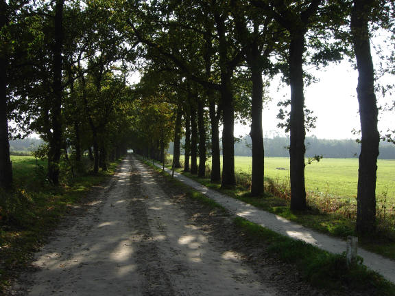 maar eerst deze laan...