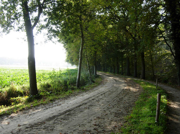 verder langs de rand van het bos...