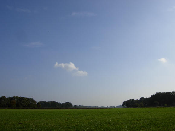 noordlaarderbos in de rug...