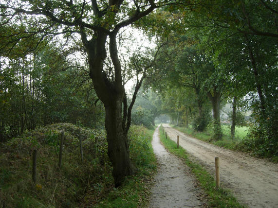 zandpad en fietsschelpenpad...