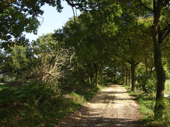 dit zandpad is tegelijk ook een stukje pieterpad en drentse route...
