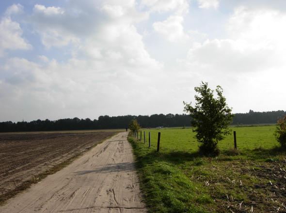 achter de bomen ligt zuidlaren...