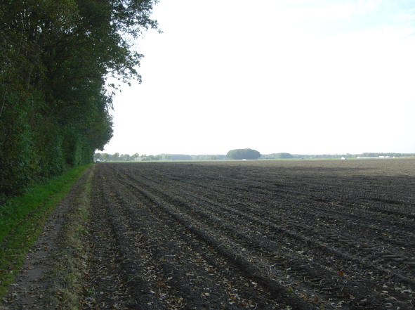nog één smal paadje langs een akker voor we weer de bewoonde wereld in gaan...