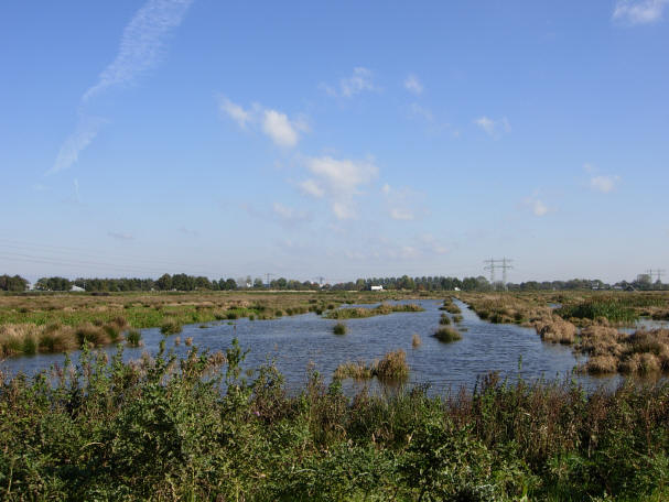 smiddags in oktober